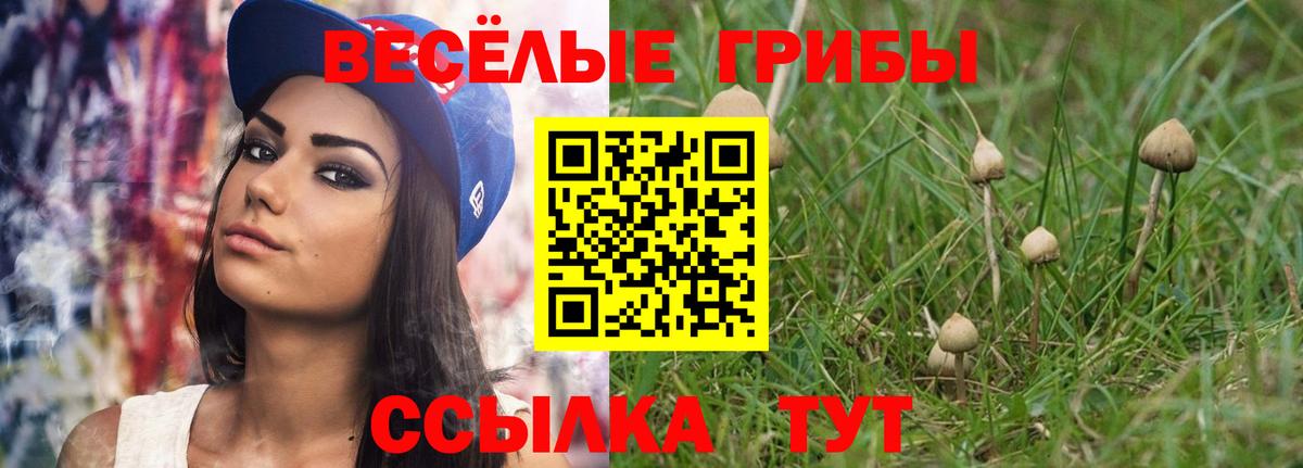 Псилоцибиновые грибы Magic Shrooms  Вход с VPN  Малоярославец 