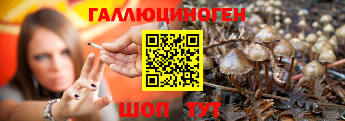 Псилоцибиновые грибы мухоморы Малоярославец